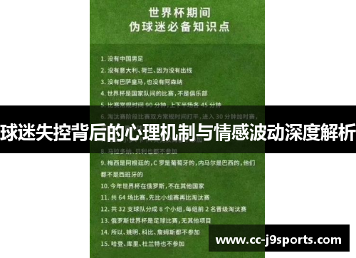 球迷失控背后的心理机制与情感波动深度解析
