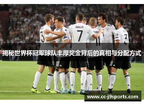 揭秘世界杯冠军球队丰厚奖金背后的真相与分配方式